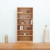 Desny Beach Bookcase