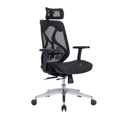 Delta-High Back Ergonomic Office Chair