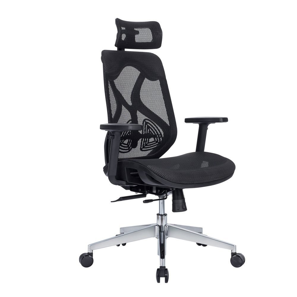 Delta-High Back Ergonomic Office Chair