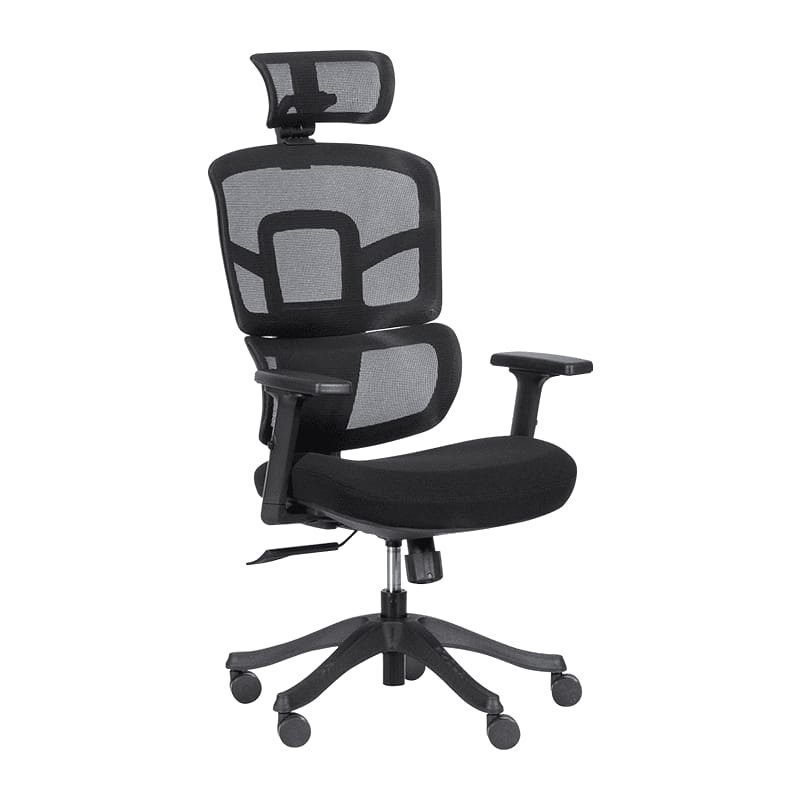 Vision-High Back Chair