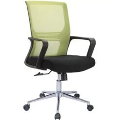 Dinku-Low Back Chair