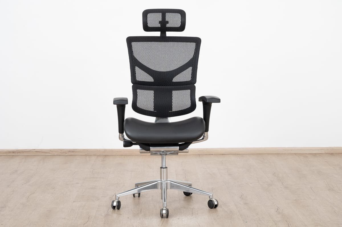 Posture Pro-Executive Ergonomic Chair
