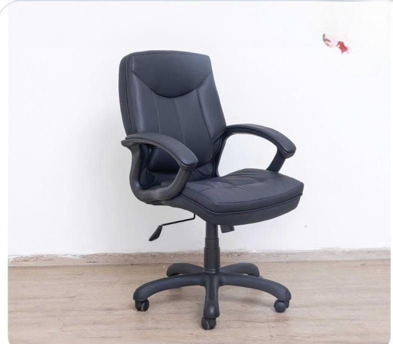 Plush-Low Back Chair