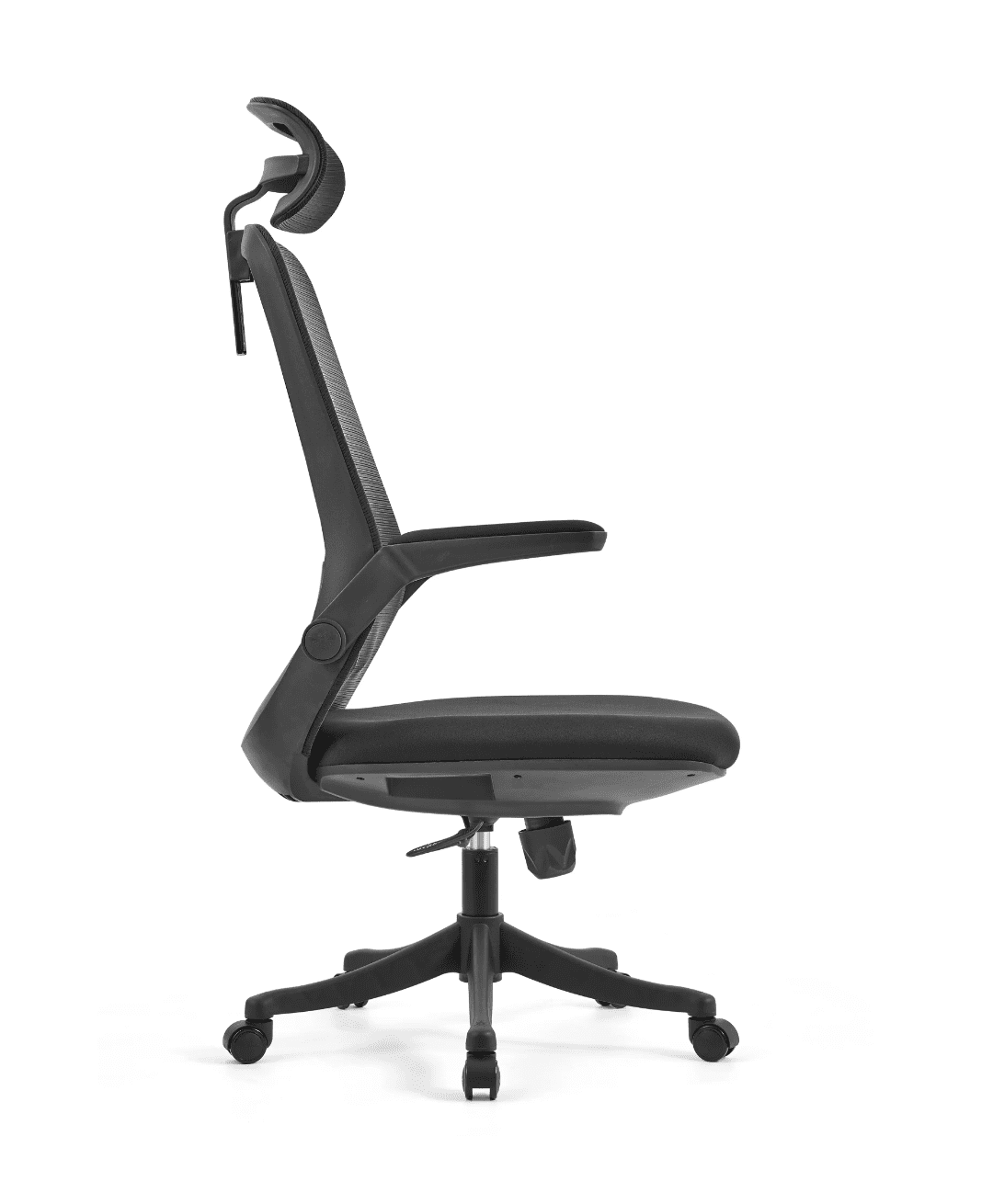 2025/04/1000028646.png