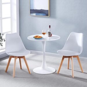 Tulip Dining Table + 2 padded Chairs