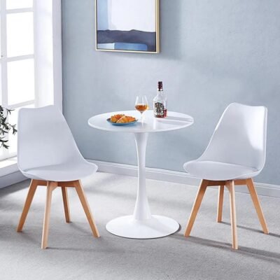 Tulip Dining Table + 2 padded Chairs