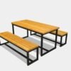 Combo Unit With 2 Wooden Benches And Metal Frame