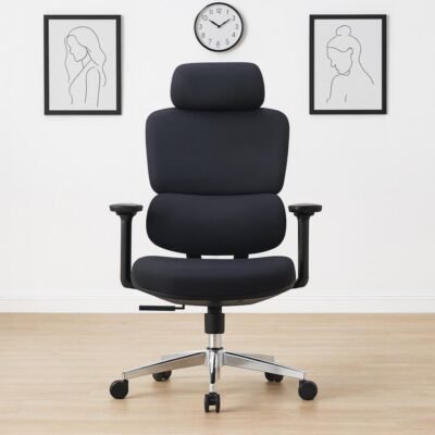 Seil High Back Ergonomic Chair